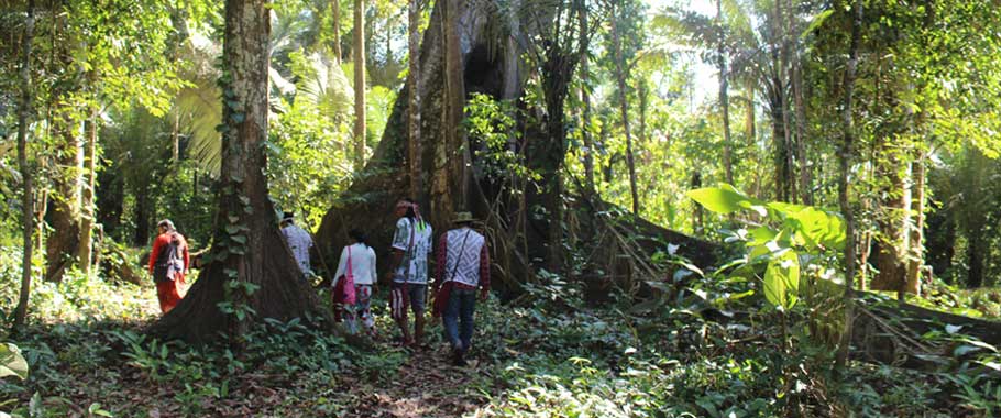 Caminhadas com os xamãs